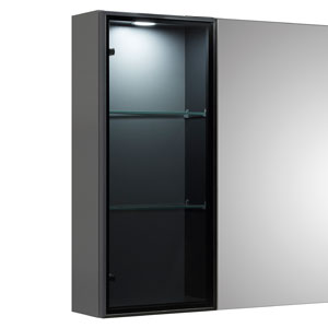 Vitrine mittig, schwarze Rauchglastür: Vitrine mittig, schwarze Rauchglastür